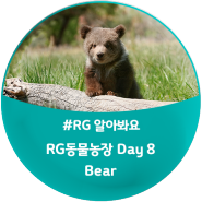[모여라! RG 동물농장] Day 8. Bear(곰) : Bears' Four Seasons / 'bear'가 들어간 영어표현