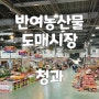 부산 청과 반여농산물 도매시장 대용량 과일 사고 온 후기