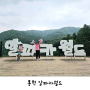 서울 근교 당일치기 여행 뚜벅이로 즐기는 홍천 알파카월드 동물체험