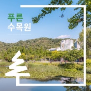 서울 구로 푸른수목원 & 항동철길, 5월 꽃구경 가볼 만한 곳! 🌲