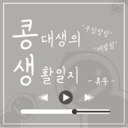 콩생일지 휴무!! 오늘은 스튜디오 촬영입니다 ㅜㅜ