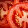 토마토효능 공복토마토 토마토위염 토마토변비 토마토알레르기 토마토즙효능