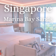 싱가포르 신혼 여행 숙소 '마리나베이샌즈' 호텔 룸 컨디션, 예약