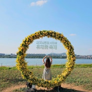 한강 반포지구 서래섬 서울 유채꽃 볼수있는곳