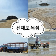 인천 선재도 목섬 갯벌 선재어촌체험마을