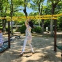 아이와 5월 일본 후쿠오카 여행: 야나가와 놀이터& 히요시 신사 방문 후기