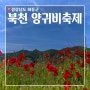 하동 가볼만한곳_ 하동 북천 꽃 양귀비축제