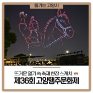 <제36회 고양행주문화제> 그 뜨거운 열기 속 축제 현장 스케치 🎊