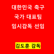 대한민국 축구 국가 대표팀 임시감독 김도훈 선임