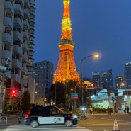 일본 도쿄여행 도쿄타워 포토존 야경 스팟 아카바네바시🗼
