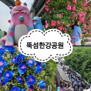 서울 갈만한곳 뚝섬 한강공원 유원지 서울국제정원박람회