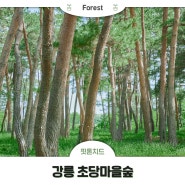 [EVENT]문화와 전통, 생태가 어우러진 강릉 초당마을숲