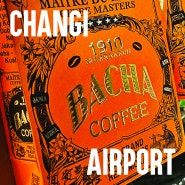 싱가포르 창이공항 바샤커피 위치 터미널2 면세점 쇼핑리스트 bacha coffee 선물 구매
