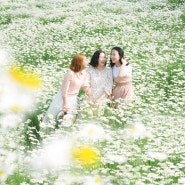 [고창스냅 :: 우정사진촬영] 봄날 같은 그녀들의 우정사진촬영