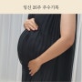 임신 26주 주수기록 (몸무게, 빅사이즈 임부복, 태아, 장거리 태교여행)