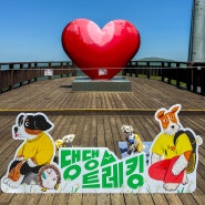 강아지랑갈만한곳 글로벌6K와 함께하는 댕댕트레킹 강아지 운동장