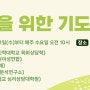 최광현 교수 집회일정/5월29일(수)오전10시-새중앙교회
