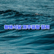 [제주공항 근처 맛집] "황해식당 제주공항 갈치"/제주시 맛집 추천