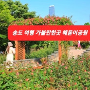 송도 여행 해돋이공원 장미원 인천 송도 가볼만한곳