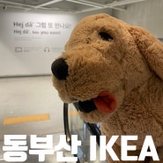 기장 놀거리 이케아 IKEA 동부산점 푸드코트 레스토랑 메뉴 추천
