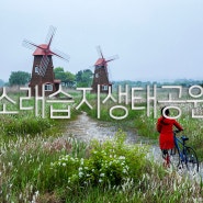 인천여행 소래습지생태공원 풍차와 삘기 특별한 체험 서울근교당일여행