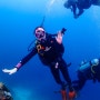 필리핀 세부 막탄 다이빙 강습 후기 퍼플오션다이브 스쿠버다이빙 오픈워터 자격증