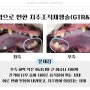 [광주 치과 동물병원, 금호동 동물병원, 강아지 GTR, 강아지 GBR, 강아지 치주조직재생술, 강아지 치주염] 5살 강아지의 치주재생치료 Case