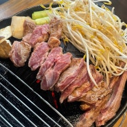 대연동 히츠지야ㅣ대연동 북해도식 양고기 맛집,징기스칸세트 후기