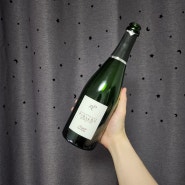 Piollot : Champagne Mepetit Brut Nature NV (피올로, 샴페인, 미쁘띠)