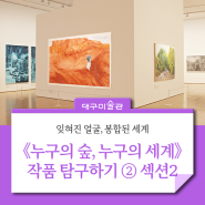 봄·여름 실내 나들이 추천 : 《누구의 숲, 누구의 세계》展 탐구생활② 섹션 2 작품