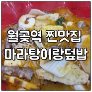 [경기 시흥] 월곶역 찐맛집 마라탕이랑덮밥