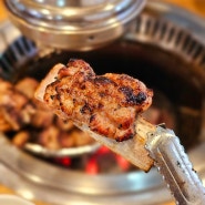 신논현 맛집 - 돼지 생갈비와 매운갈비찜이 맛있는 청평숯불갈비
