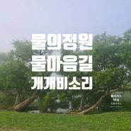물의정원,물마음길 걷기,북한강 물안개 개개비 새소리