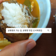 [최승은 맛집] 궁평캠프 가는 길, 궁평항 맛집 신서해횟집