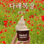 청주 다래목장 아이랑 가볼만한 곳 우유 아이스크림 존맛 - 내수 카페 추천
