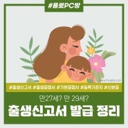 30세까지만 확인 가능한 출생신고서 발급 총정리!(+발급 후기)