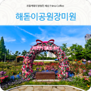 인천 송도공원 해돋이공원 장미 멋짐 인천장미축제