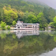 [후쿠오카 여행] 유후인 긴린코 호수와 텐소신사