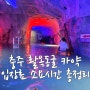 충주 활옥동굴 카약 입장료 소요시간 아이 체험학습으로 굿!