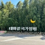 울산 어씽(어싱) 태화강 국가 정원 + 재즈페스티벌 + 봄꽃축제까지!
