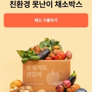 건강한 집밥 만들어먹기 비건메뉴 야채 채소 메뉴 :: 어글리어스 (1회차)