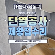 [서울/성동구] 결로 곰팡이 제거 및 단열공사 다녀왔습니다.(feat.마루부분보수)