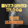 인천 송도 강아지 십자인대 TPLO 수술 4개월간 치료 경과(F/U) 외과전문동물병원