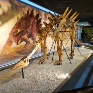 청주 아이와 가볼만한곳 청주랜드 공룡박물관 즐기기