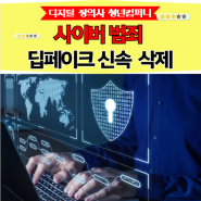 N 번방과 같은 사이버범죄 개인정보보호 위한 게시물 삭제 디지털 장의사