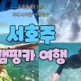 바다사자랑 수영하고 바쁘다 바빠! 여유1도 없는 초보캠핑러의 서호주 캠핑카여행3