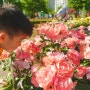 창원 가볼만한곳 장미공원 5월 꽃구경
