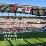 [상암] 5월 19일(일) FC서울 vs 대구FC 서울월드컵경기장 - W석 2층 후기