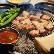 숙성달인의 코큰돼지 | 숙성 돼지고기 맛집! #내돈내산