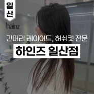 내돈내산 일산 미용실 추천 | 여자 긴머리 레이어드 허쉬컷/슬릭컷 전문 <하인즈> 일산점
